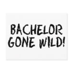 Bachelor Gone Wild (Blk) Post Card