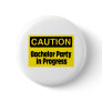 Bachelor Party In Progress Pins
