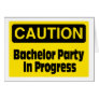 Bachelor Party In Progress