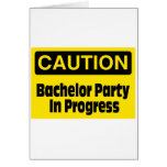 Bachelor Party In Progress