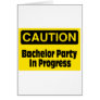 Bachelor Party In Progress