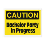 Bachelor Party In Progress Postcard