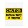 Bachelor Party In Progress