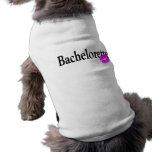 Bachelorette (Kiss) pet clothing
