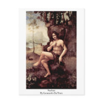 Bachus By Post Card