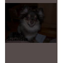 Baci, Mad Scientist t-shirts