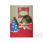 Baci's Birthday Party Greeting Card
