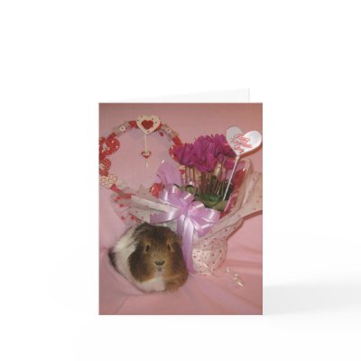 Baci's Valentine Greeting Cards by ctguineapigs