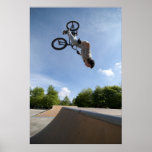 Back Flip posters
