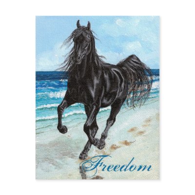 Back Stallion Arabian horse Freedom postcard by Fine_Art_of_Morgane