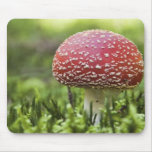 Back to nature - Red mushroom mousepads