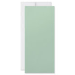 Background Colour - Celadon