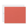 Background Colour - Coral
