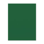 Background Colour - Forest Green