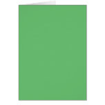 Background Colour - Green 02