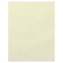 Background Colour - Ivory
