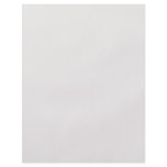 Background Colour - Light Beige flyers