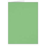 Background Colour - Mint