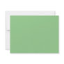 Background Colour - Mint