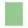 Background Colour - Mint