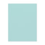 Background Colour - Robins Egg Blue