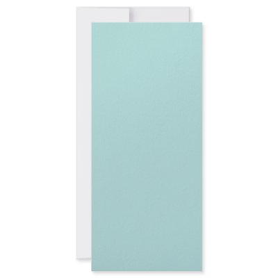 Background Colour - Robins Egg Blue by visualnewbie
