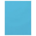 Background Colour - Turquoise flyers