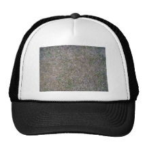 Background Texture of Dry Grass Trucker Hat