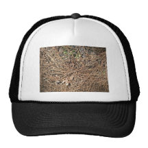 Background Texture of Dry Pine Leaves Mesh Hat