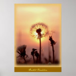 Backlit Dandelion - Chisasibi Quebec Canada Print