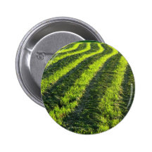 Backlit farmland button