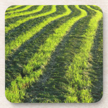 Backlit farmland drink coaster
