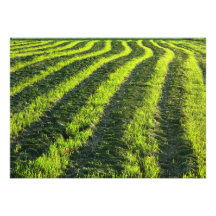 Backlit farmland personalized invite