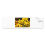 Backlit Yellow Rose Bumper Sticker