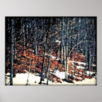 Backwoods Poster