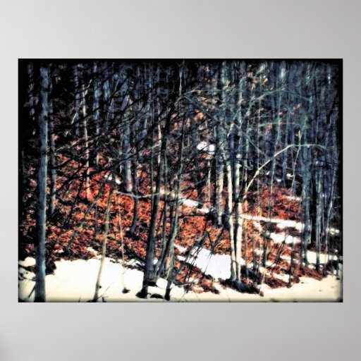 Backwoods Poster