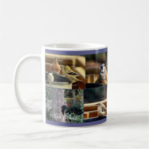 Backyard Birds, Mug