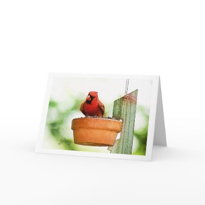Backyard Birds Notecards by mrsmas