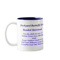 Backyard Butterfly Series #3 Coffee Mug