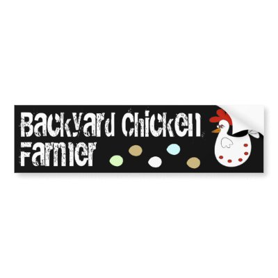 Backyard Chicken Farmer Bumper Stickers by Urban_Chicken