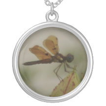 Backyard dragonfly personalized necklace