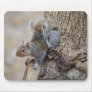 Backyard friend mouse pad