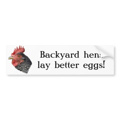 Backyard hens lay better eggs! - Bumper sticker by GardenDelightsArts