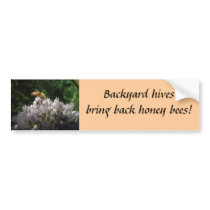 Backyard hives bring back honey bees! bumper stickers