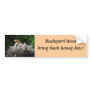 Backyard hives bring back honey bees! bumper stickers