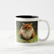 Backyard Jungle Kitty Coffee Mugs