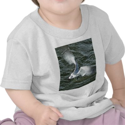 Backyard Seagull Tees by bsfalco