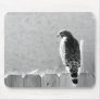 Backyard visitor mouse mat