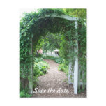Backyard Wedding - Save the Date Postcard