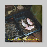 bacon magnet